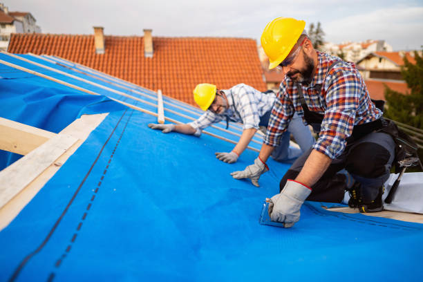 Best Chimney Flashing Repair  in Bexley, OH